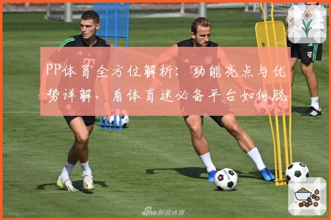 PP体育全方位解析：功能亮点与优势详解，看体育迷必备平台如何脱颖而出
