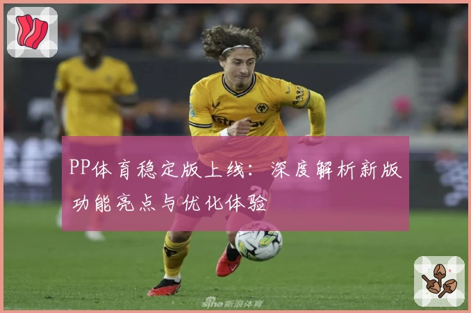 PP体育稳定版上线：深度解析新版功能亮点与优化体验