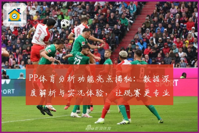 PP体育分析功能亮点揭秘:数据深度解析与实况体验,让观赛更专业