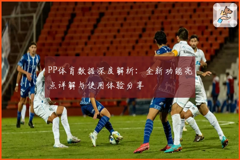 PP体育数据深度解析：全新功能亮点详解与使用体验分享