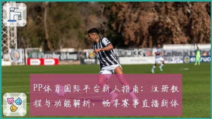 PP体育国际平台新人指南：注册教程与功能解析，畅享赛事直播新体验