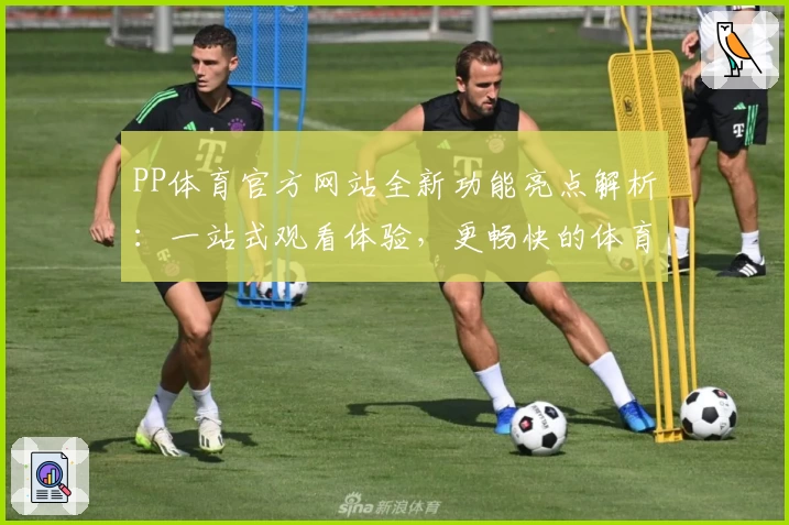PP体育官方网站全新功能亮点解析:一站式观看体验,更畅快的体育盛宴